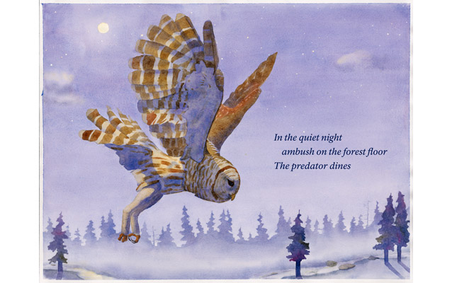 Image from new wayside exhibit of an owl about to pounce on prey