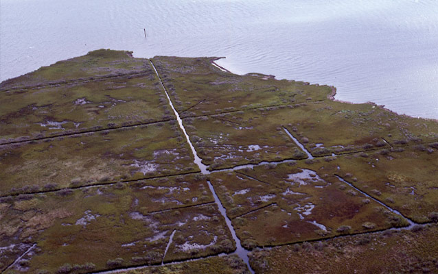 Aerial view of the ditches crisscrossing a wetland