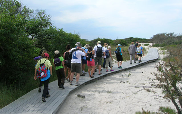 Group with day packs hike along boardwalk trail through swale between dunes.