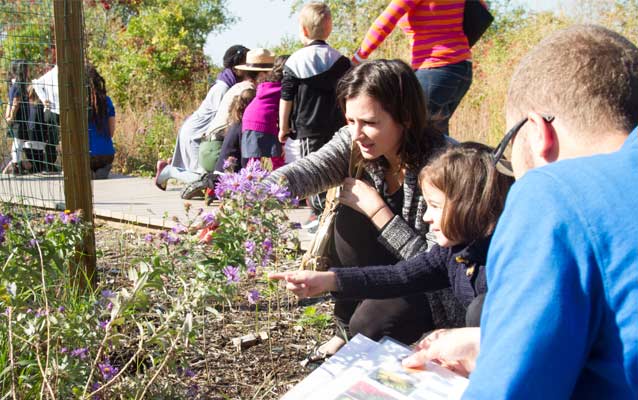 A woman and young girl point at a flower.
