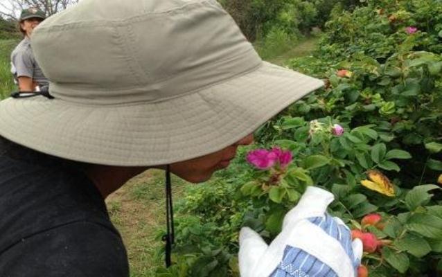 Young woman smelling a flower.