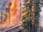 Crown fire in Grand Canyon National Park, northern Arizona.