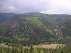 Patches of quaking aspen forest (light green) in mixed conifer forest (dark green).