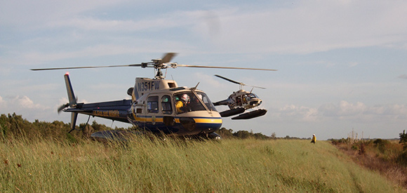 An A-Star helicopter and Bell 206 helicopter.