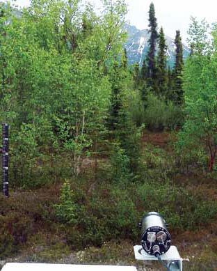 Cylindrical camera on a platform peers into the wilderness.