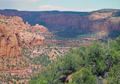 Pinyon-juniper woodlands like this one at Navajo NM are experiencing mortality from recent drought