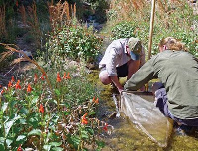 Changing water regimes, warmer water, and altered vegetation may affect aquatic macroinvertebrates