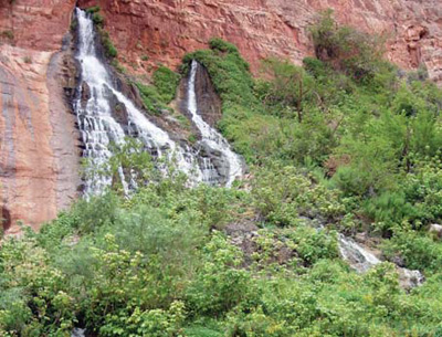 A drier climate would threaten sensitive spring ecosystems like Vasey’s Paradise at Grand Canyon NP