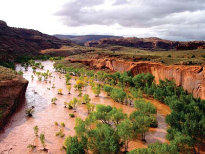 One result of climate change may be more, larger floods, like this flash flood in Glen Canyon NRA One result of climate change may be more, larger floods, like this flash flood in Glen Canyon NRA