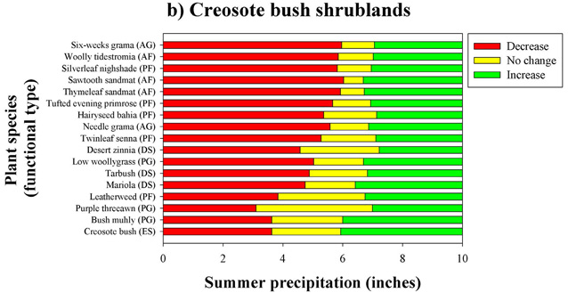 Performance of plant species in relationship to summer precipitation in creosote bush shrublands