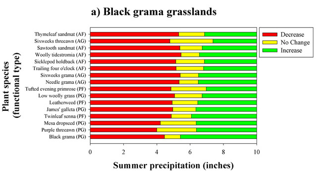 Performance of plant species in relationship to summer precipitation in black grama grasslands