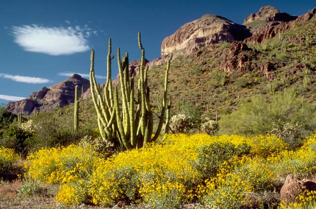 Climate Change in the Southwest - Introduction and Current Climate (.  National Park Service)