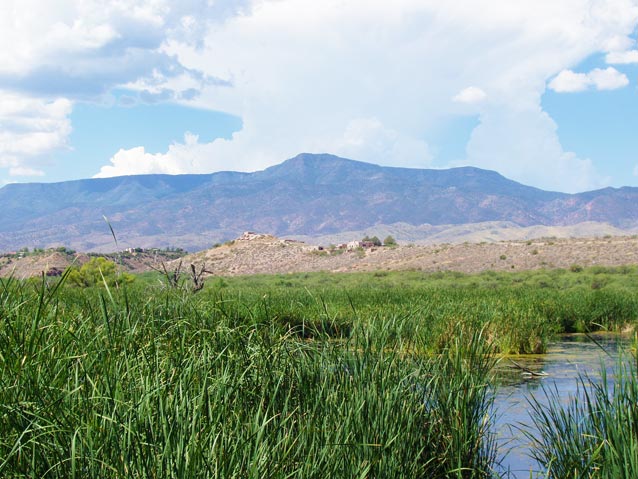 Changes in the timing and amount of precipitation could eliminate ephermeral lakes and spring pools