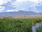 Changes in the timing and amount of precipitation could eliminate ephermeral lakes and spring pools