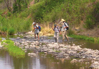 NPS field staff along the edge of a stream.