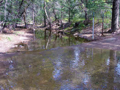 Shallow water running through a partially forested area