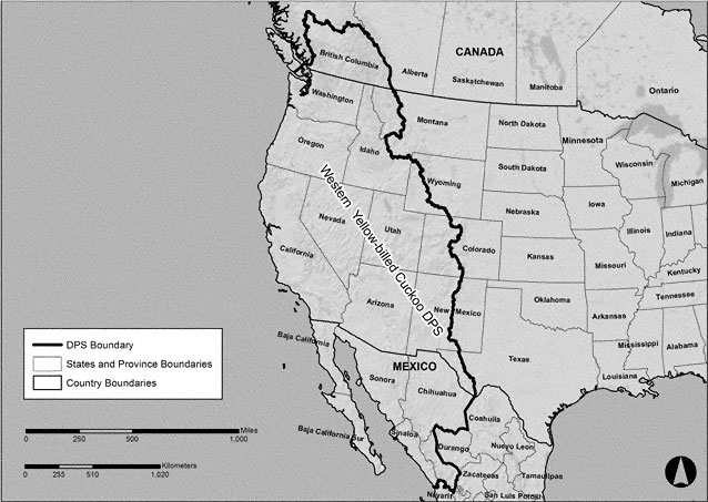 Boundary of the Western Distinct Population Segment of the Yellow-billed Cuckoo.