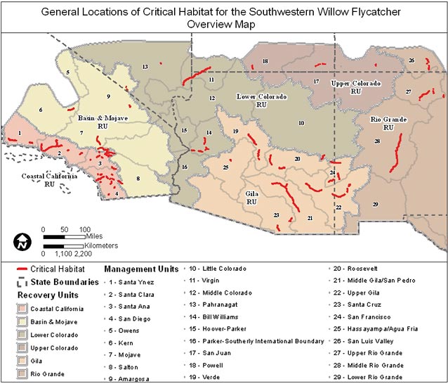 Critical habitat for the southwestern willow flycatcher