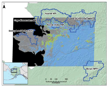 map of northwest alaska with areas of yellow scattered within a large rectangular box