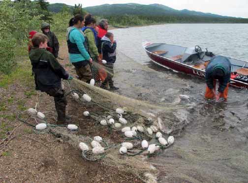 eight adults and kids pulling a net of fish out of a lake eight adults and kids pulling a net of fish out of a lake