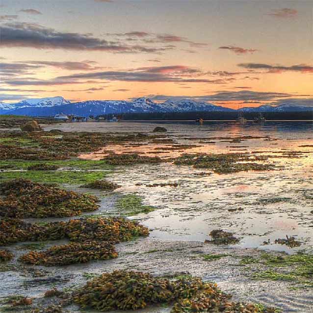 boats on the ocean with mountains in the distance and a tidepool in foreground