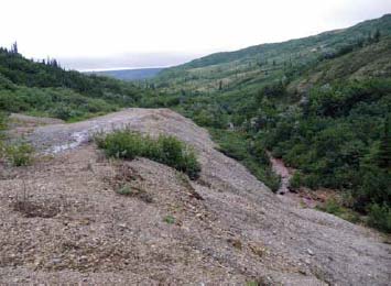 long mound of gravel and rock with weedy plants growing sporadically in it