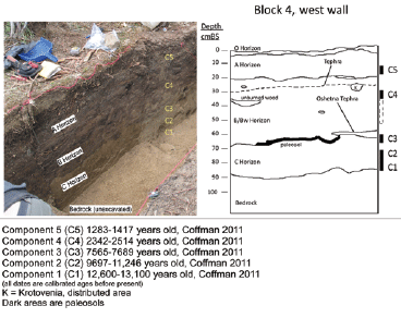 composite images of a woman kneeling over a hole and a chart with numerous lines