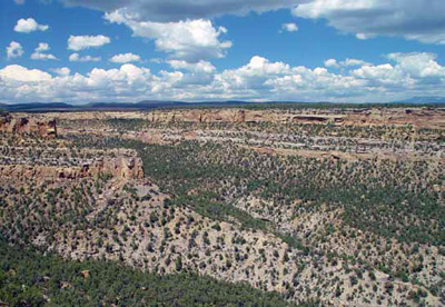 Pinyon-juniper woodland in Mesa Verde National Park. Pinyon-juniper woodland in Mesa Verde National Park.