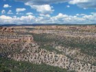 Pinyon-juniper woodland in Mesa Verde National Park.