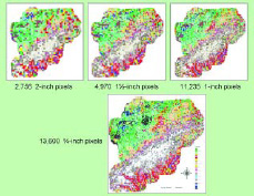 several small images of a multi-colored map several small images of a multi-colored map