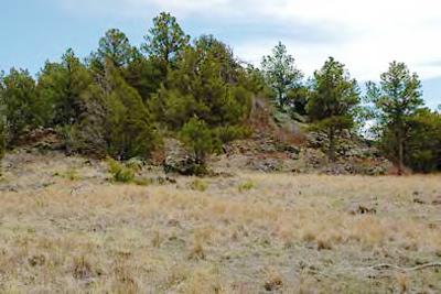 Pinyon-juniper and grasslands at Capulin Volcano National Monument