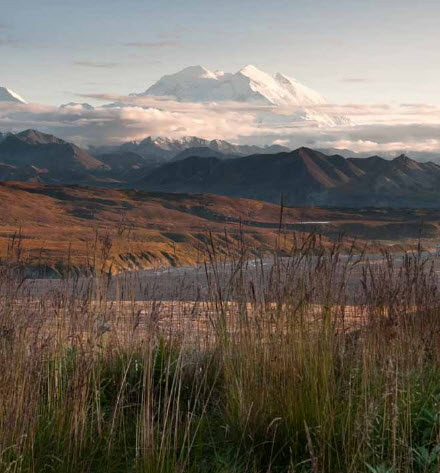 Denali in the fall