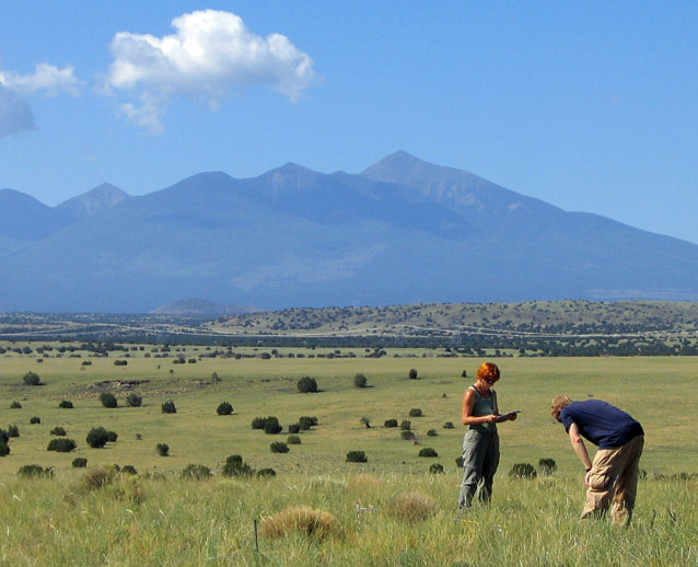 Sampling grassland vegetation at a long-term monitoring plot at Wupatki National Monument