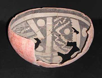Gila polychrome Gila polychrome