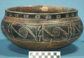 Phoenix polychrome Phoenix polychrome