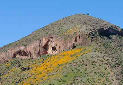 The cliff dwellings at Tonto NM were built within natural alcoves in Dripping Spring Quartzite.