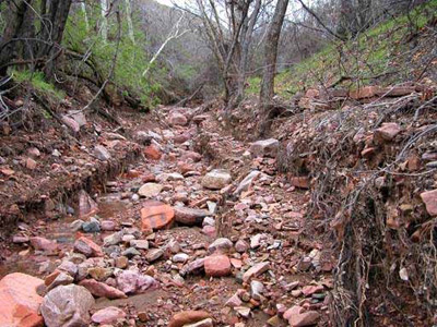 Gila conglomerate