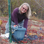 woman kneeling by a bucket on a hillside