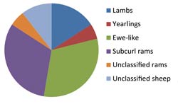 pie chart, analysis of which is in page body under survey results header