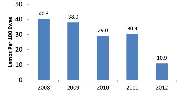 bar chart, details explored in the section under the survey results header