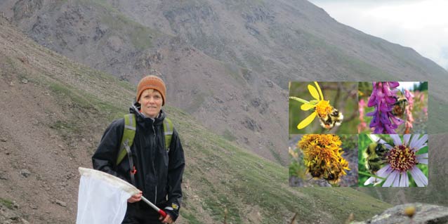 woman holding a bug net standing on a mountainside, overlaid with four images of flowers and bees woman holding a bug net standing on a mountainside, overlaid with four images of flowers and bees