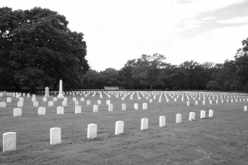 Rows of uniform white grave markers fill a flat grassy field, bordered by tall trees.