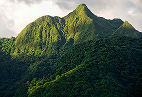 The National Park of American Samoa has a tropical rainforest habitat suitable for growing cacao.