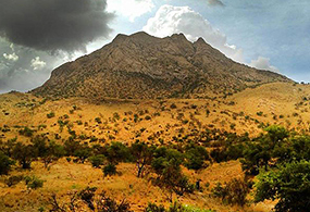 Picture of a mountain and yellow and green vegetation under a dramatic sky of dark and light clouds Picture of a mountain and yellow and green vegetation under a dramatic sky of dark and light clouds
