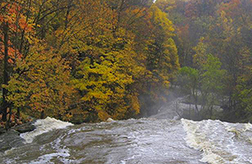 Water flowing over a waterfalls with fall foliage