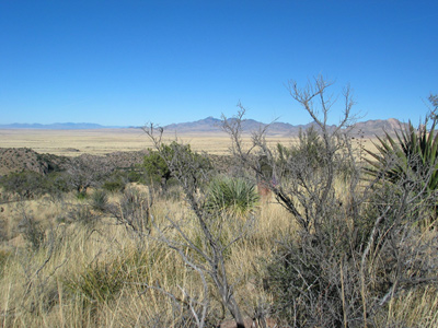 Arid, semidesert grassland in Chiricahua National Monument. Arid, semidesert grassland in Chiricahua National Monument.
