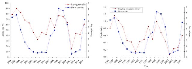 two line charts showing a correlation between abundance of prey and eagle reproductive success two line charts showing a correlation between abundance of prey and eagle reproductive success