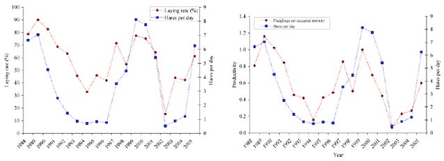 two line charts showing a correlation between abundance of prey and eagle reproductive success