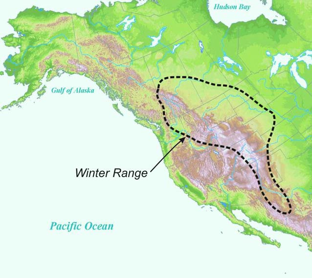 a map of western north america with a vast area around the rockies circled