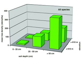 bar chart